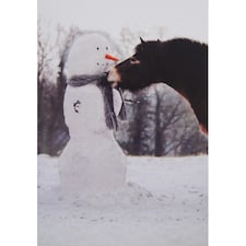 Kevin Milner Exmoor Pony And Snowman Christmas Card - Multicoloured - One Size