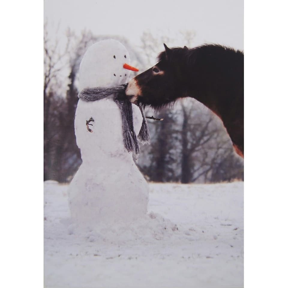 Kevin Milner Exmoor Pony And Snowman Christmas Card - Multicoloured - One Size