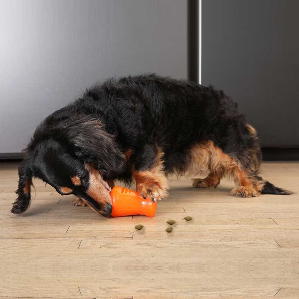image 1 of BIONIC Treat Shaker Dog Toy 3 Sizes Multi | Size?: Large