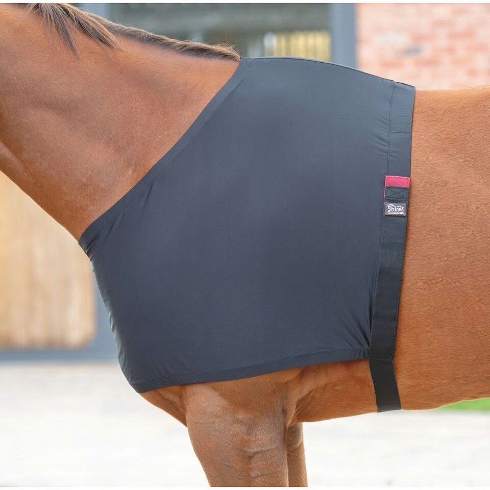 image 1 of Shires Stretch Anti-Rub Horse Vest - Black - X Full