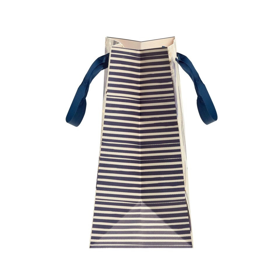 image 1 of Indigo Blush Large Gift Bag - Pack of 3