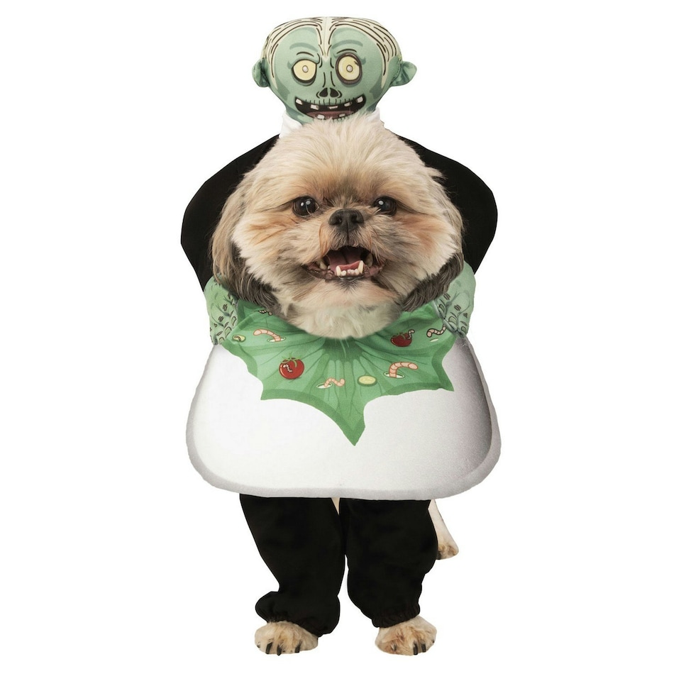Bristol Novelty Head On A Platter Dog Costume - Green/White - L