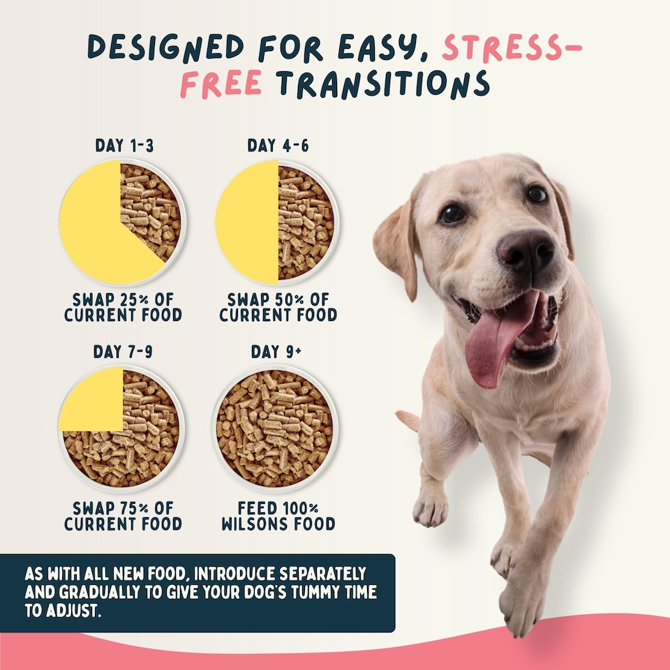 image 1 of Wilsons Lamb Cold Pressed Dog Food Natural Protein Balanced Nutrition Diet - 2kg bag