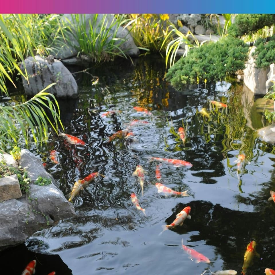 image 1 of NT Labs GH - Minerals Up