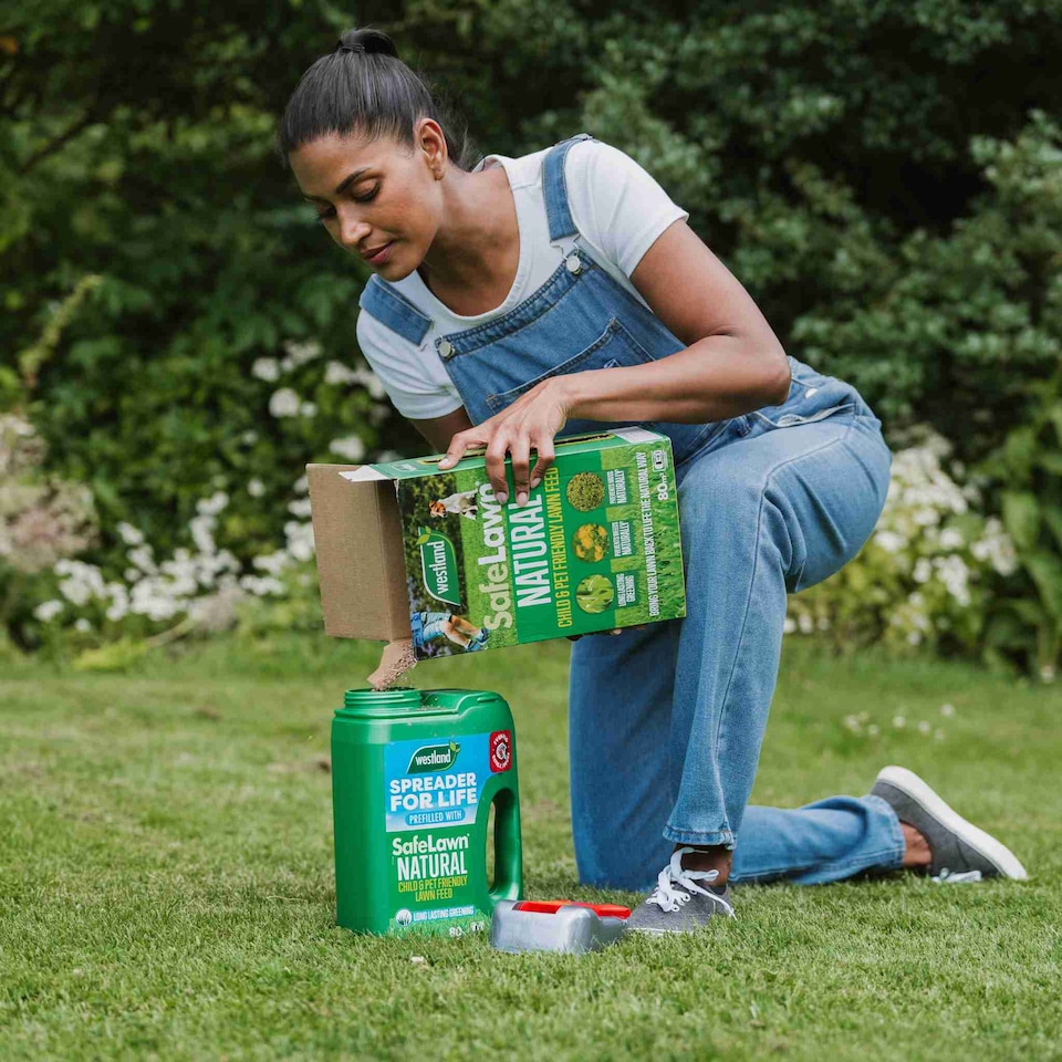 image 1 of Westland SafeLawn Natural Lawn Feed, Child and Pet Friendly | Multi | 1 x 400sqm Bag