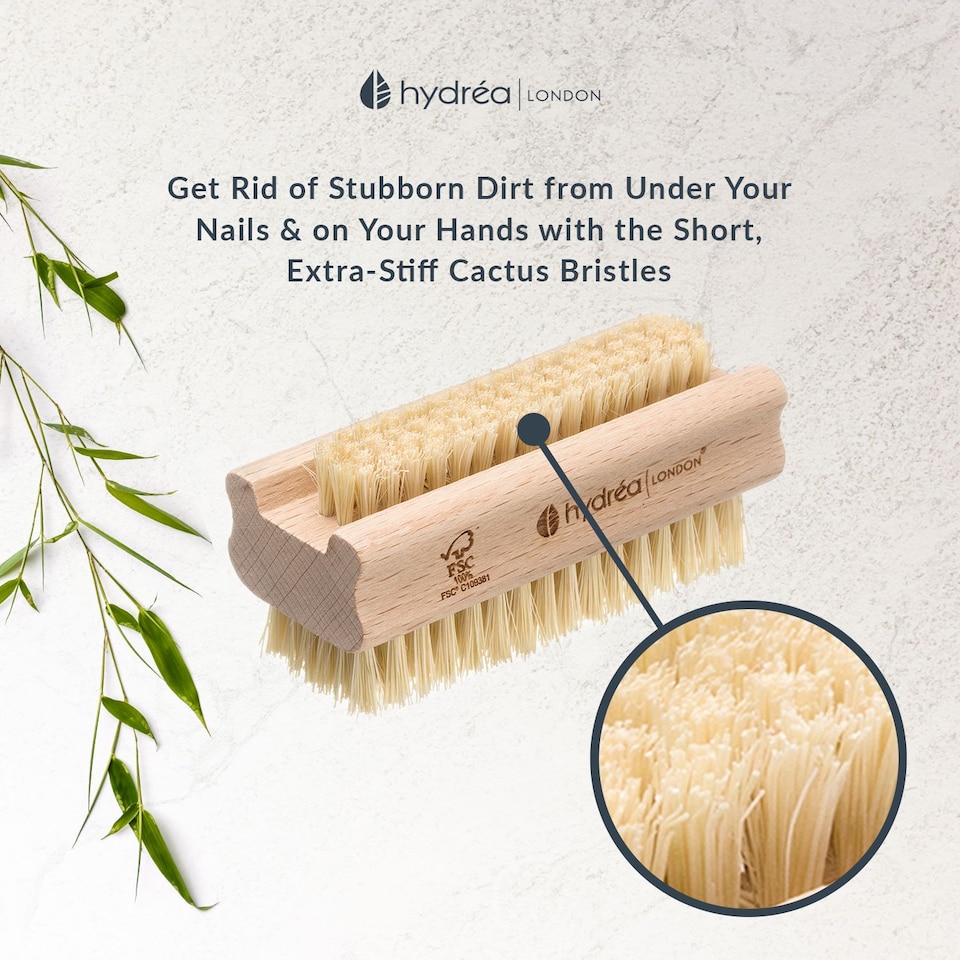 image 1 of Hydrea London Nail Brush - Double-Sided Pedicure & Manicure Brush with Natural Cactus Bristles