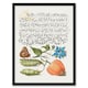 image 1 of Model Book of Calligraphy Framed Wall Art Talewort Pea and Lantern Plant