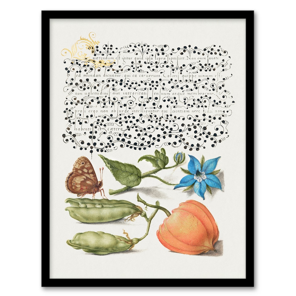 image 1 of Model Book of Calligraphy Framed Wall Art Talewort Pea and Lantern Plant