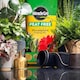 image 10 of Miracle-Gro Peat Free Houseplant Potting Mix - 10L
