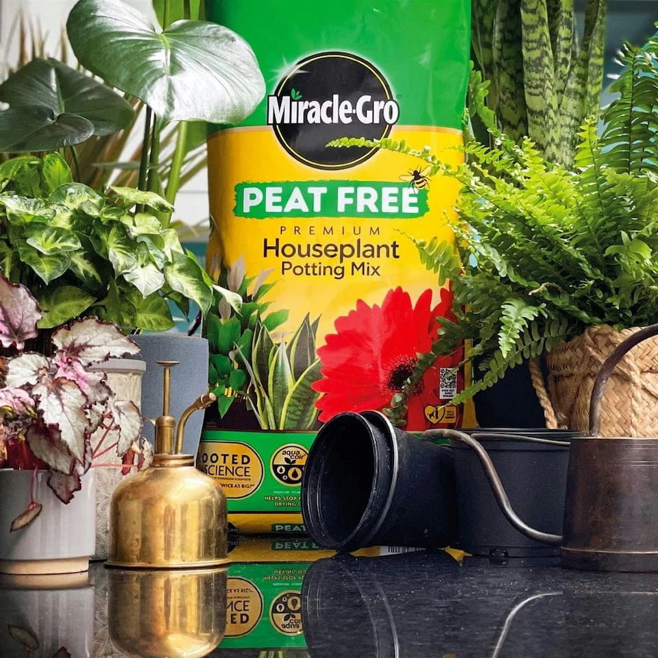 image 1 of Miracle-Gro Peat Free Houseplant Potting Mix - 10L