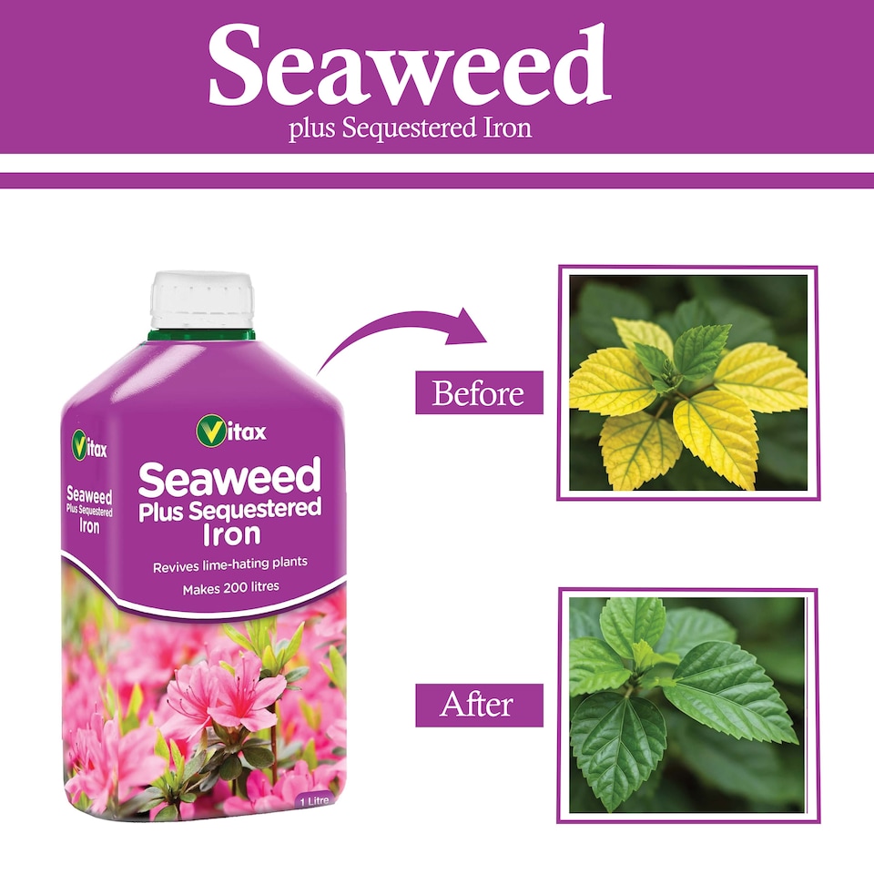 image 1 of Vitax Seaweed Plus with Sequestered Iron 500ml Liquid Fertiliser for Acid-Loving Plants Lawns & Garden Growth Tonic