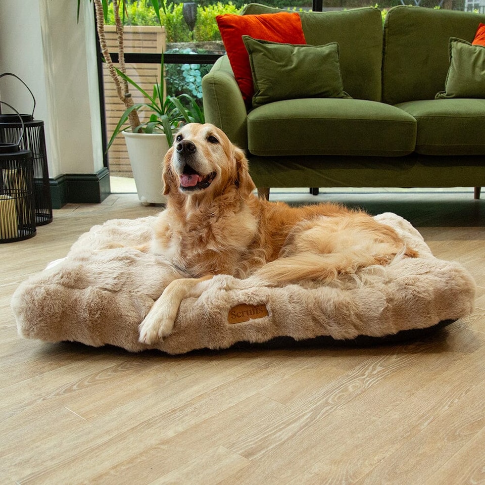 image 1 of Scruffs Alpine Mattress Champagne (L)