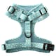 image 2 of Dotty About You - Harness - Small