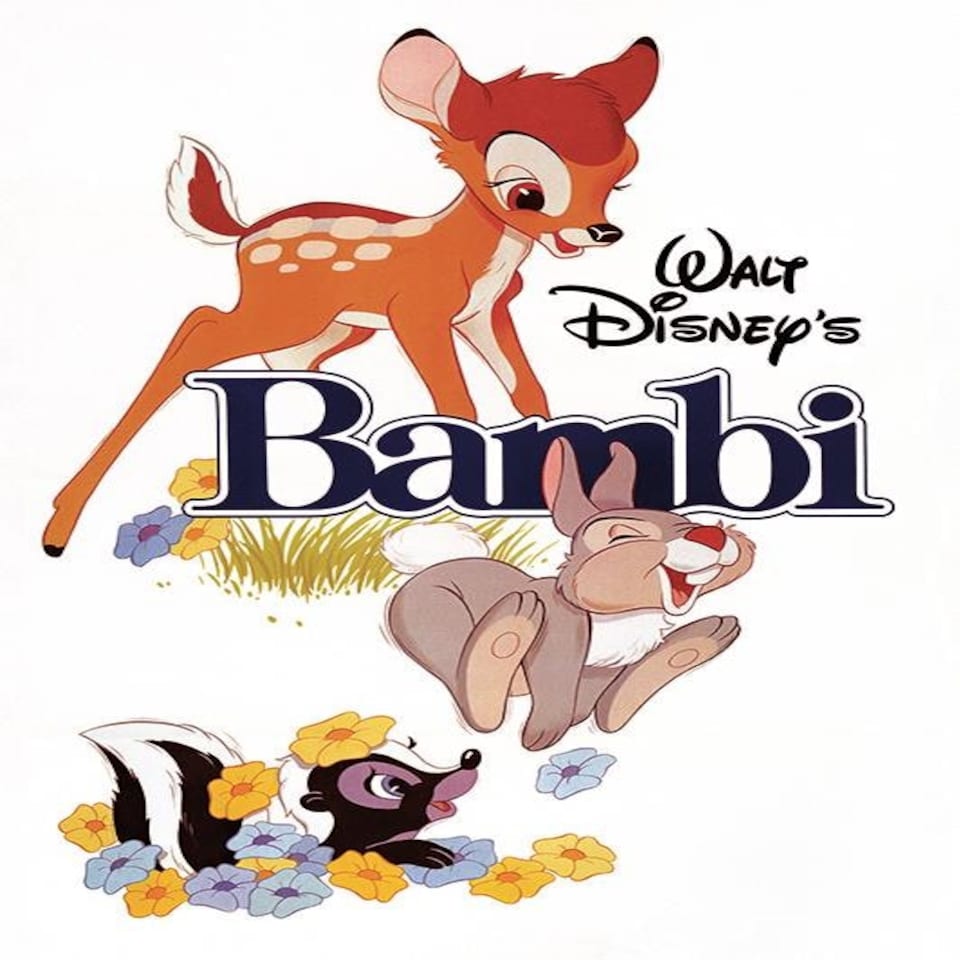 Bambi (White)  60x80x2cm Stretched Canvas Print