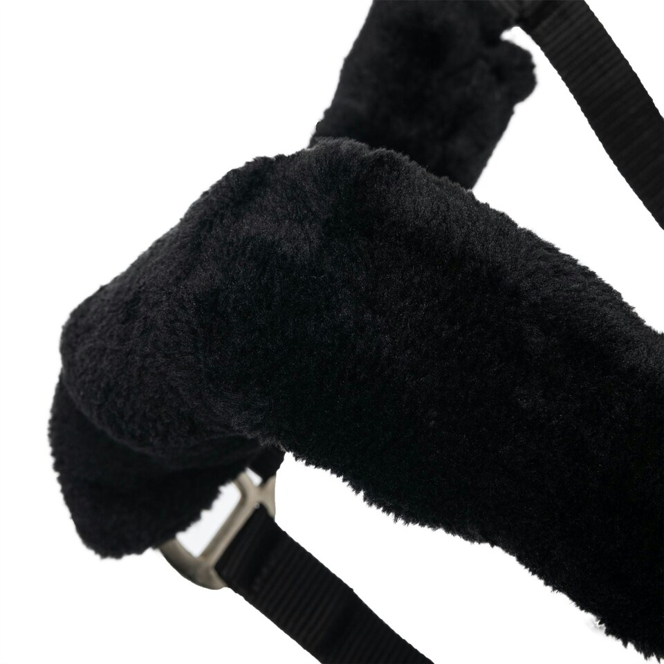 image 1 of LeMieux Comfort Headcollar Blue | X-Full