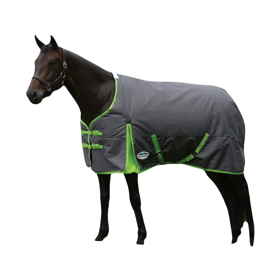 image 1 of Weatherbeeta Comfitec Essential Standard-Neck Midweight Horse Turnout Rug - Grey/Lime - 4´