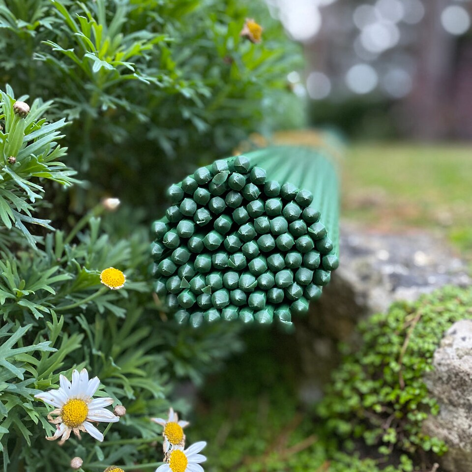 image 1 of Plastic Coated Metal Garden Plant Support Sticks (80cm) - Pack of 80