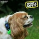 image 4 of Ancol Soft Blinker, Green