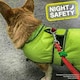 image 5 of Ancol Soft Blinker, Green
