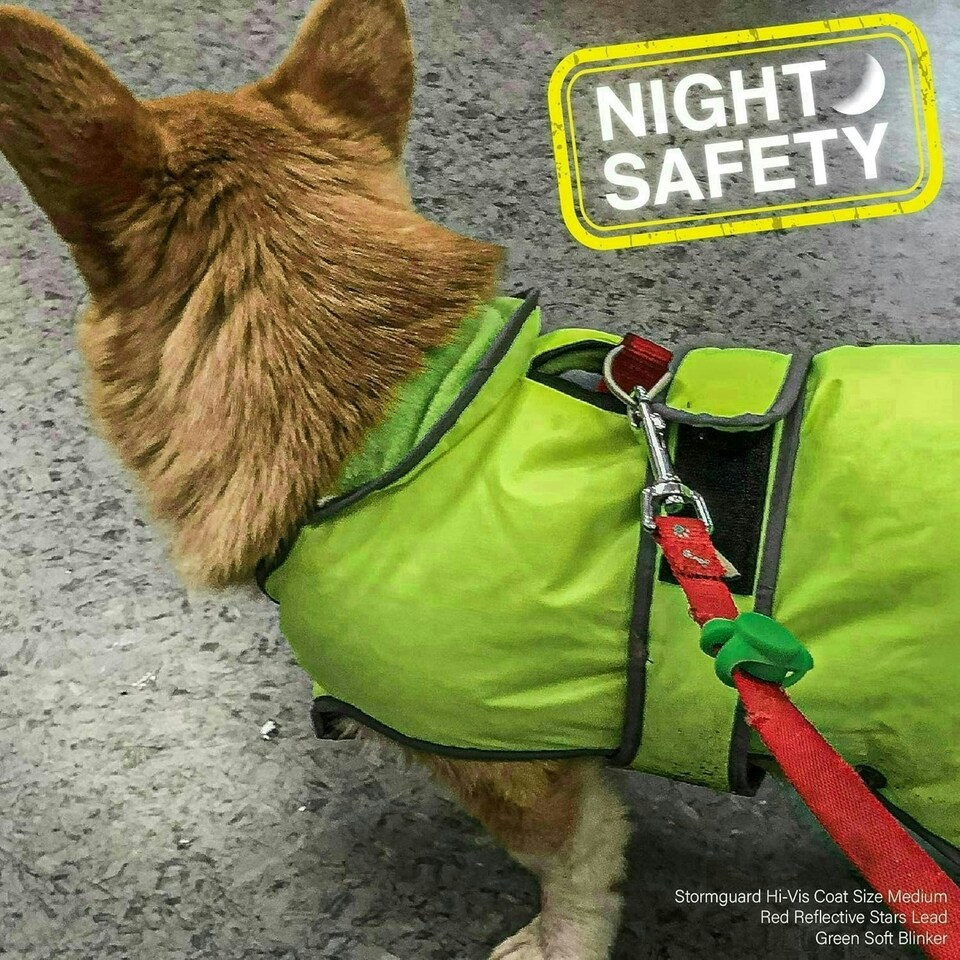 image 1 of Ancol Soft Blinker, Green