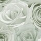 image 1 of World Of Wallpaper Melany Rose Wallpaper - Sage Green - 10m x 53cm Green