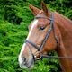 image 2 of Aviemore Comfort Fit Leather Horse Bridle - Black - Full