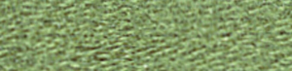 Madeira Green Stranded Silk Embroidery Thread - per value pack of 10