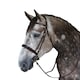image 3 of Whitaker Madrid Leather Horse Snaffle Bridle | Multi | Havana | Cob | 1