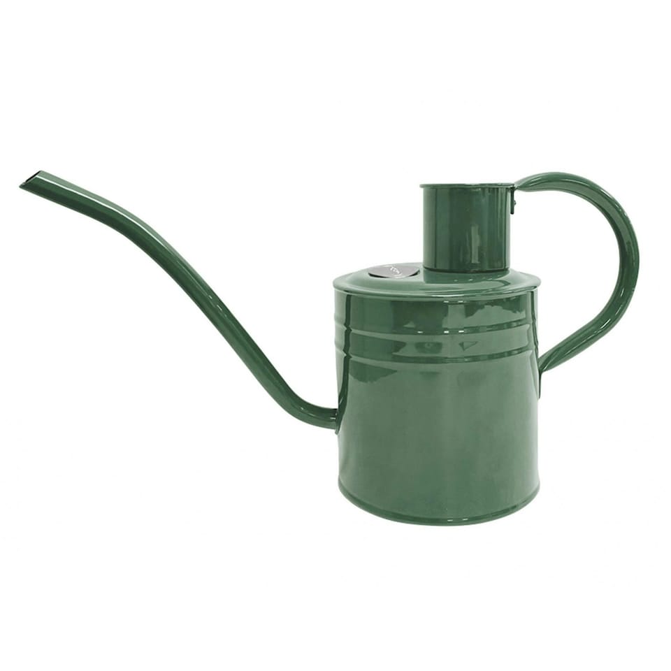 Kent & Stowe Indoor Watering Can - Multi Colour - Sage Green