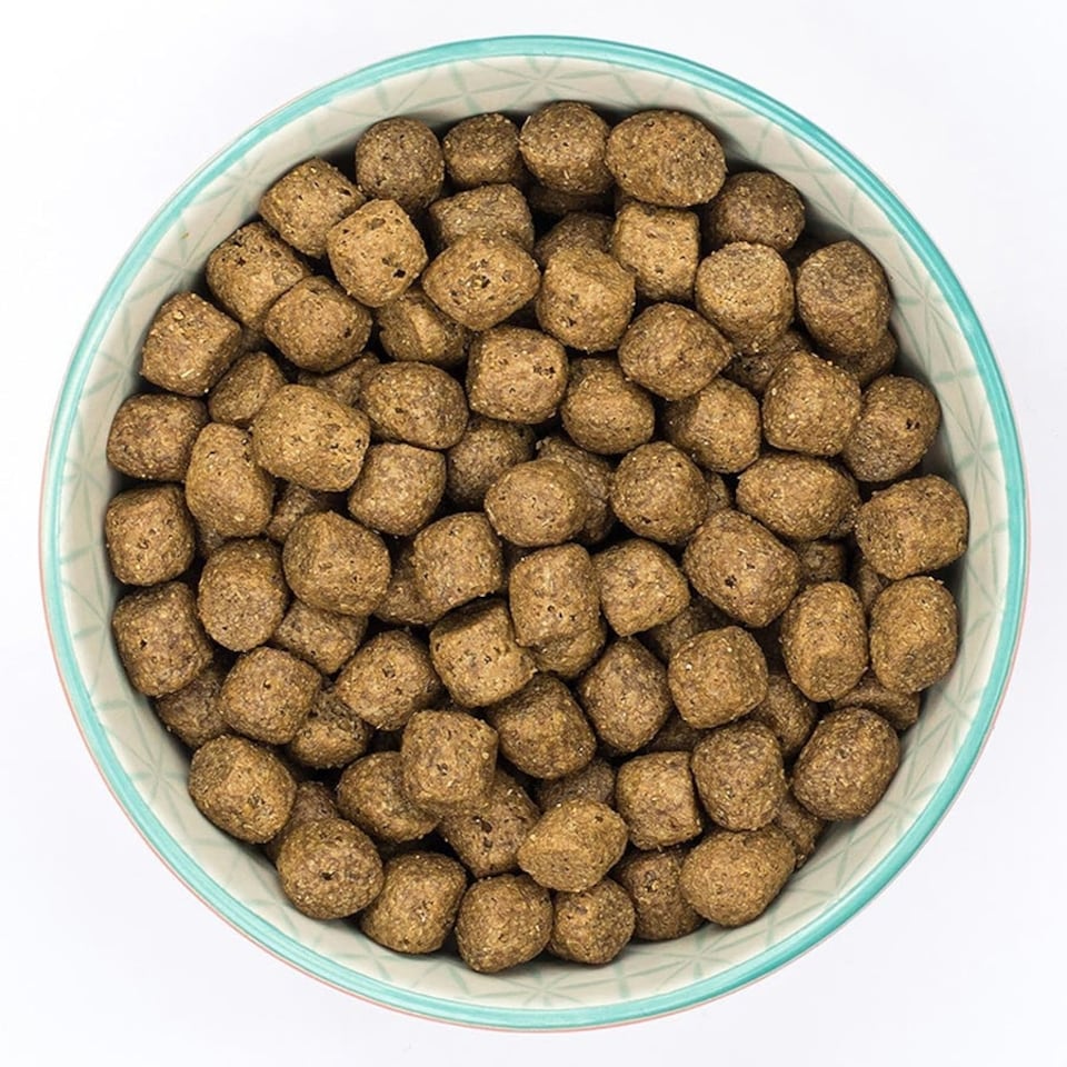 image 1 of Burns Sensitive Duck & Brown Rice Complete Dry Dog Food - 2 kg
