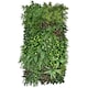 image 1 of True Products Premium Artificial Living Wall Green Plant Panel 1m x 50cm Wonderland