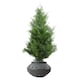 image 4 of Large Planters Plant Pots Large Grey Gliese Triangle Planter 21cm x 40cm Botanik | Grey