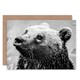 image 1 of Wet Bear Black White Photograph Animal Lover Birthday Card