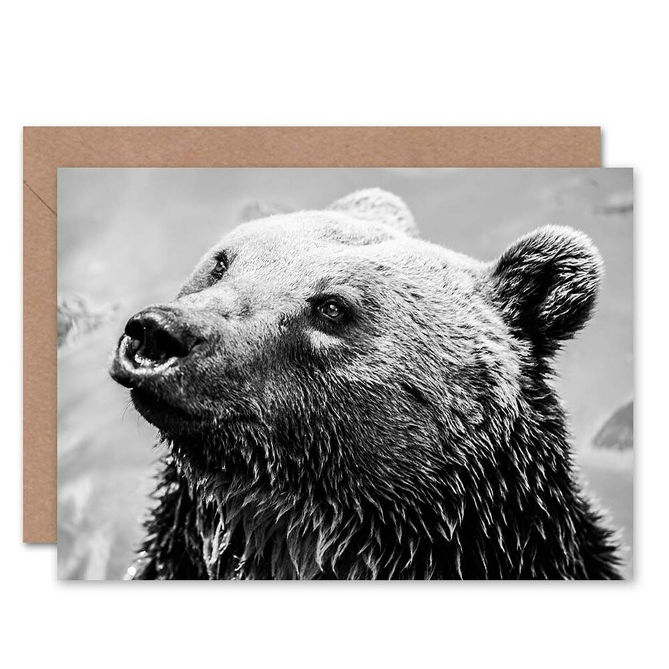 image 1 of Wet Bear Black White Photograph Animal Lover Birthday Card