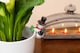 image 5 of Full Colour Snow Man Pot Buddy - L10.5 x W7.8 x H5.4 cm
