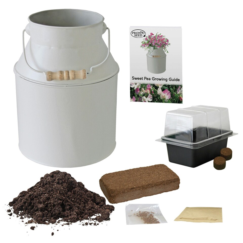 image 1 of Pronto Seed Sweet Pea Flower Seeds Grow Your Own Flowers Kit with Decorative Milk Churn Planter Gardening Gifts for Women and Men
