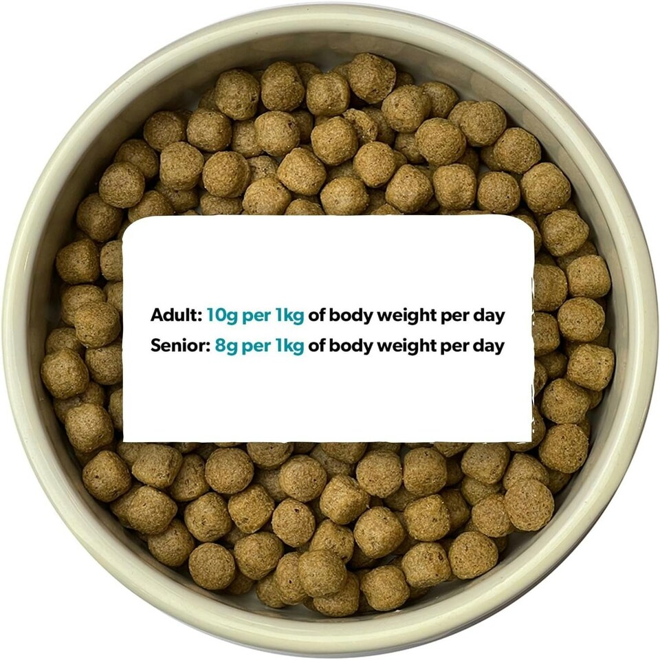 image 1 of Burns Pet Nutrition Hypoallergenic Complete Dry Dog Food Adult and Senior Dog Original Lamb and Brown Rice 12 kg