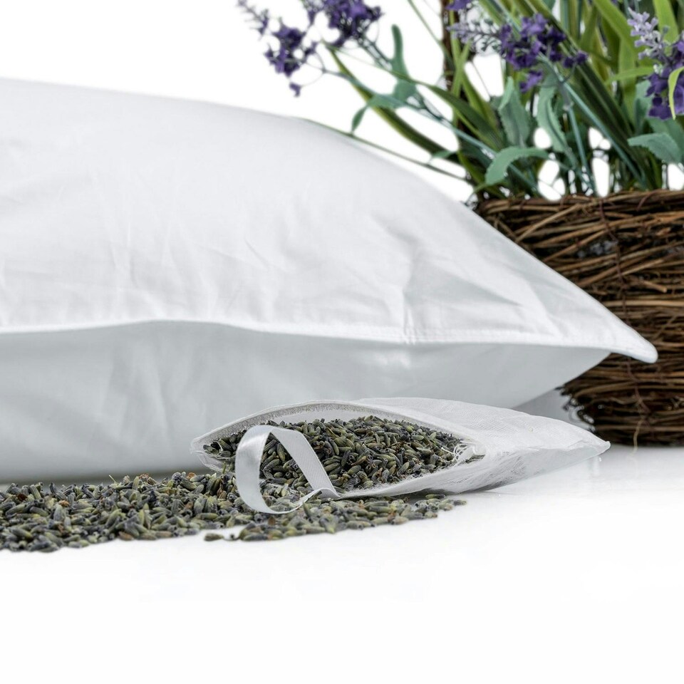 image 1 of Homescapes Super Microfibre Lavender Pillow with Dried Lavender Insert | White | 48cm x 74cm (19" x 29")
