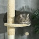 image 8 of PawHut 255cm Tall Cat Tree with Scratching Posts, Condo, Hammock, Beige
