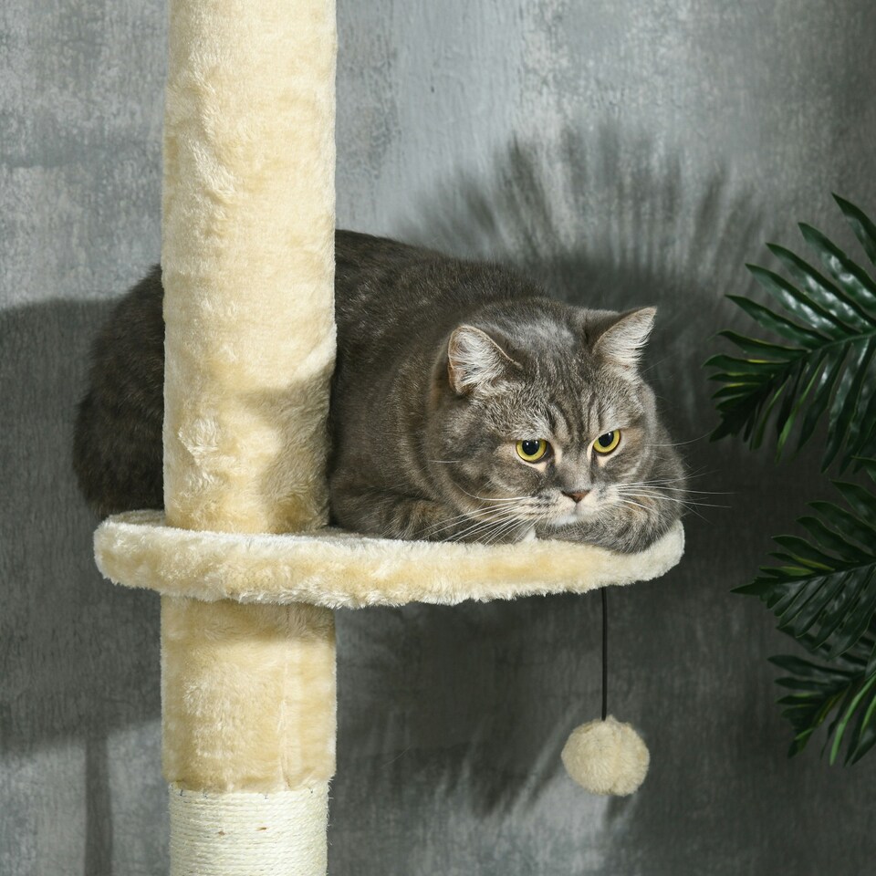image 1 of PawHut 255cm Tall Cat Tree with Scratching Posts, Condo, Hammock, Beige