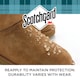 image 7 of Scotchgard Suede & Nubuck Shoe Protector & Water Stain Repellent 400ml Twin Pack