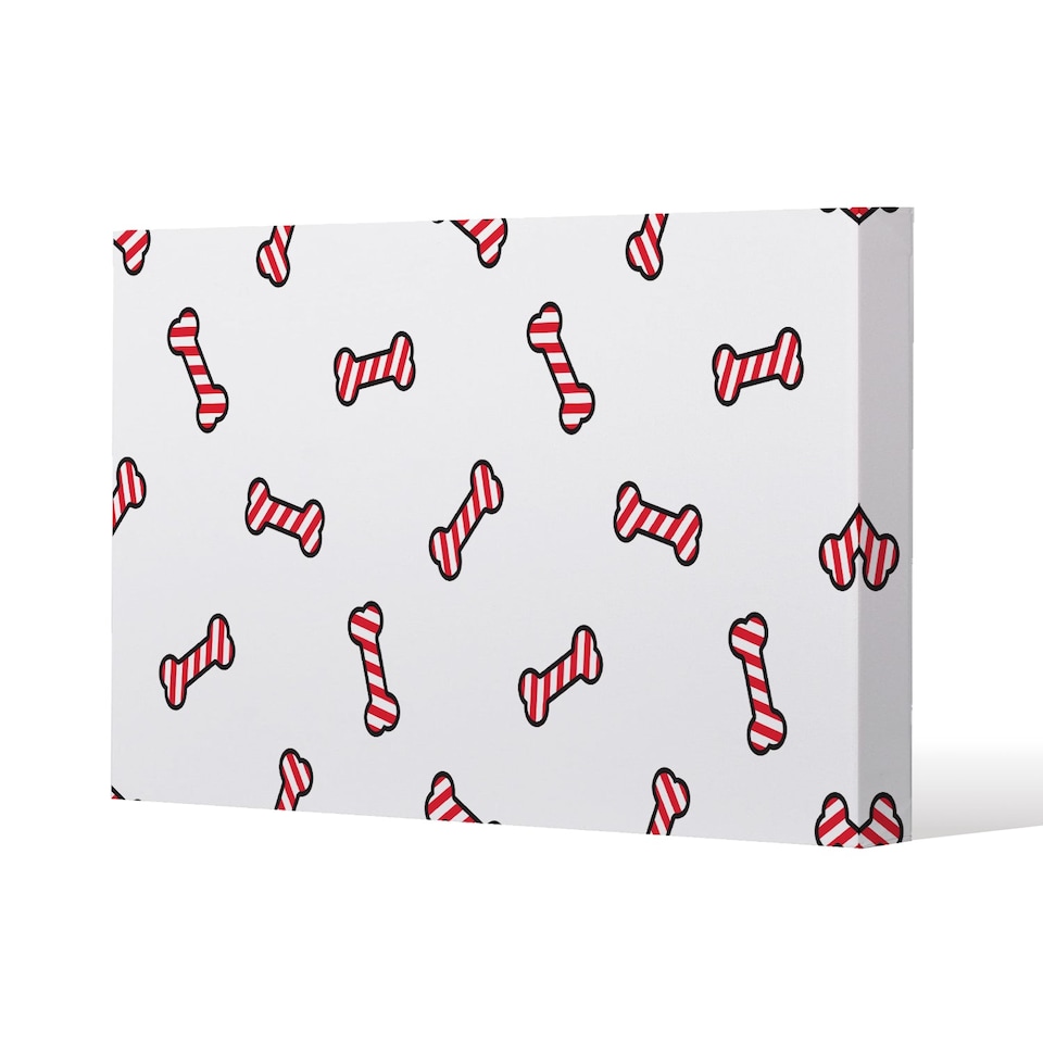 Dog Bone (canvas) / 31 x 41 x 4cm | Multi