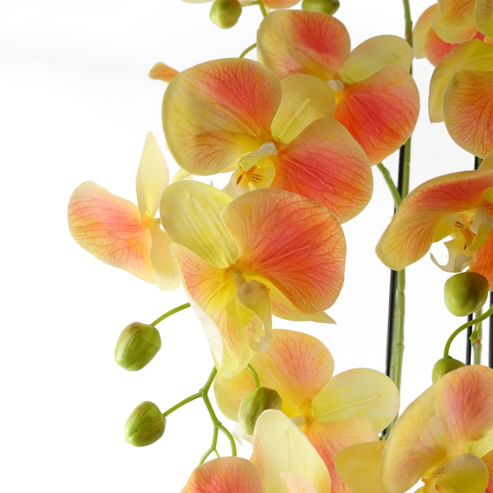 image 1 of 110cm Large Yellow Peach Orchid Plant - Artifcial - 41 REAL TOUCH flowers
