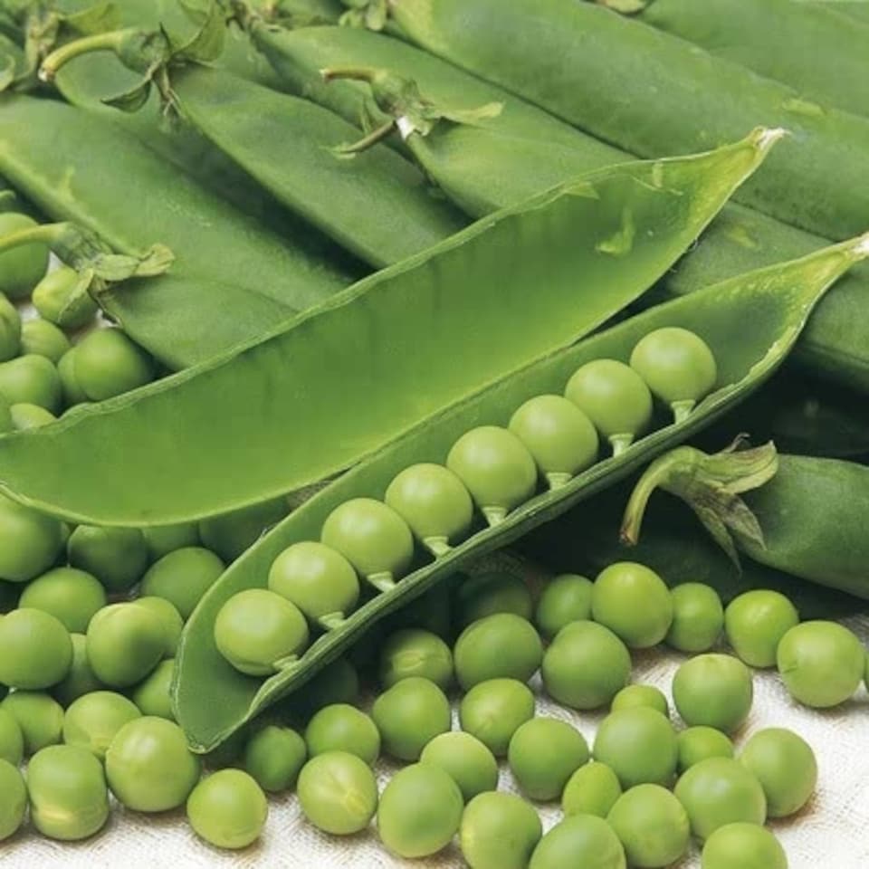 image 1 of Marshalls Garden Pea & Broad Bean Duo Pack (Aquadulce Claudia & Douce Provence) 2 packets