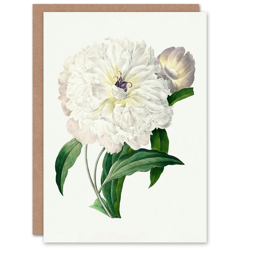 image 1 of Pierre-Joseph Redouté Art Card Vintage Peony Flower Illustration