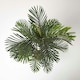 image 2 of Homescapes Areca Palm Tree in Pot, 120 cm Tall