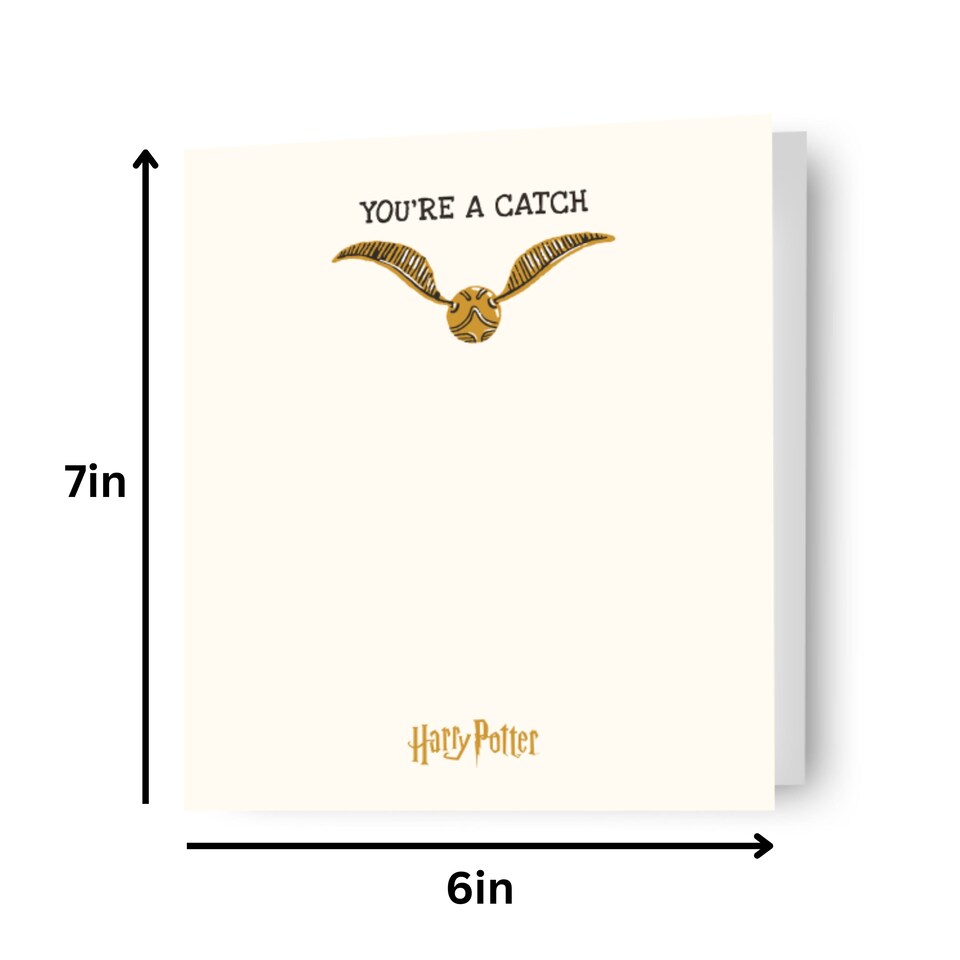image 1 of Harry Potter 'You're A Catch' Valentine's Day Card