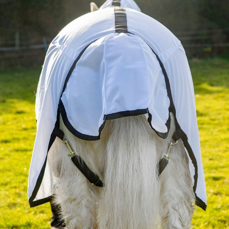 image 1 of Gallop Equestrian Ponie Dual 5-Point Fly Rug & Neck Set White | Size: 4ft 6
Colour: White