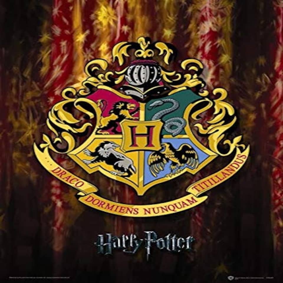 LX - HARRY POTTER (HOGWARTS CREST) - HARRY POTTER