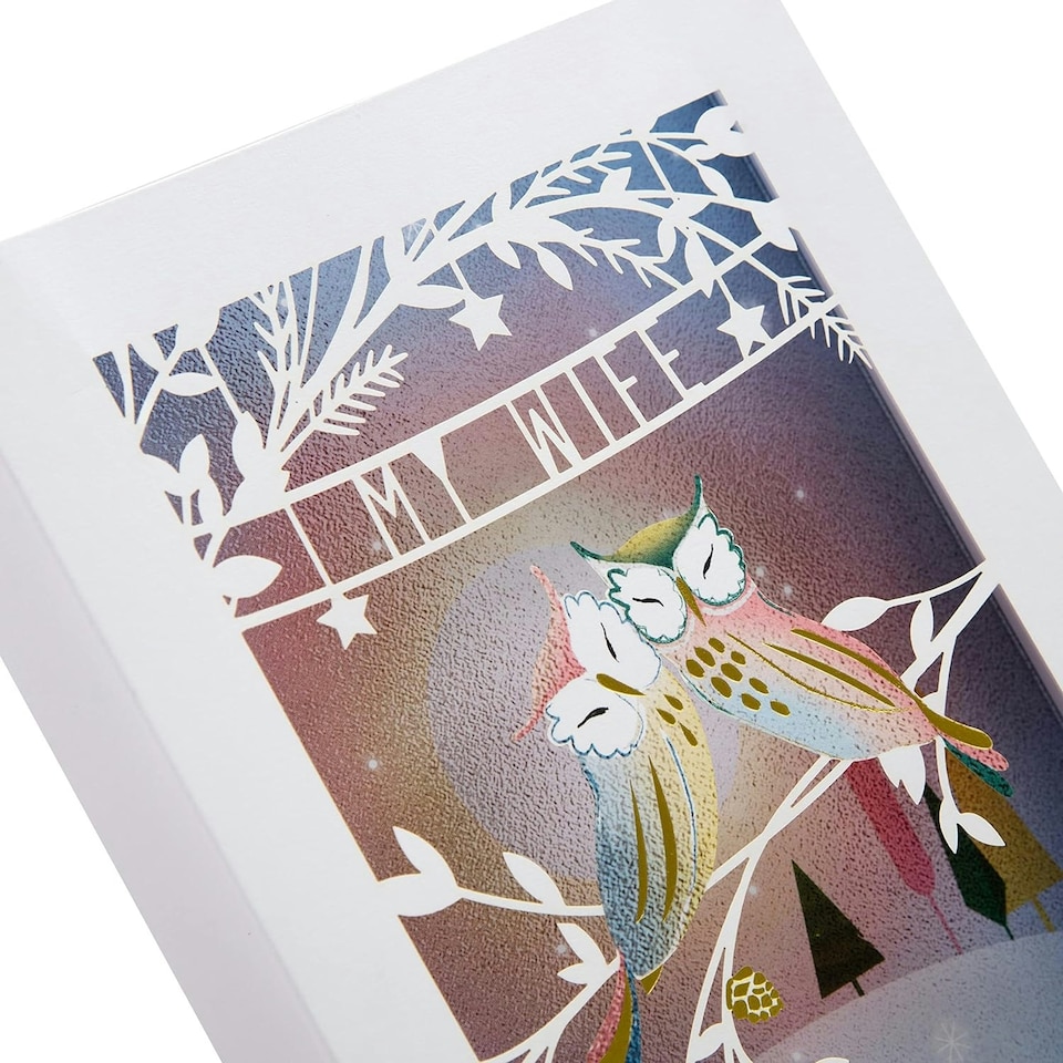 image 1 of Traditional 3D Shadowbox Design Wife Christmas Card